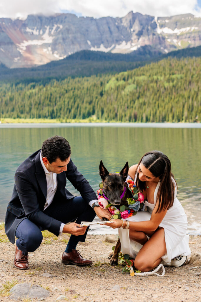 Colorado Dog License Signing