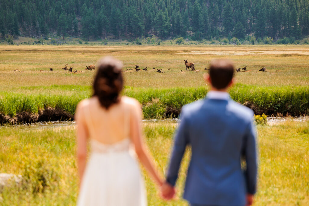 Sprague Lake Elopement