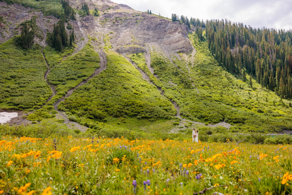 Crested Butte Wildflower Elopement
