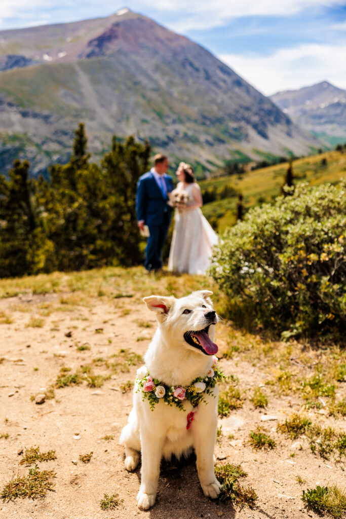 Breckenridge Colorado Elopement